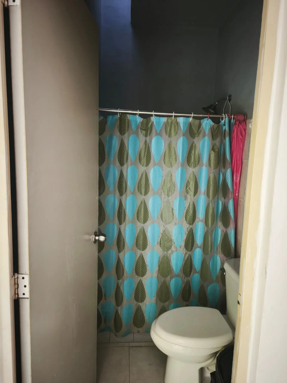 Semi-Furnished House for Rent Near Los Olivos