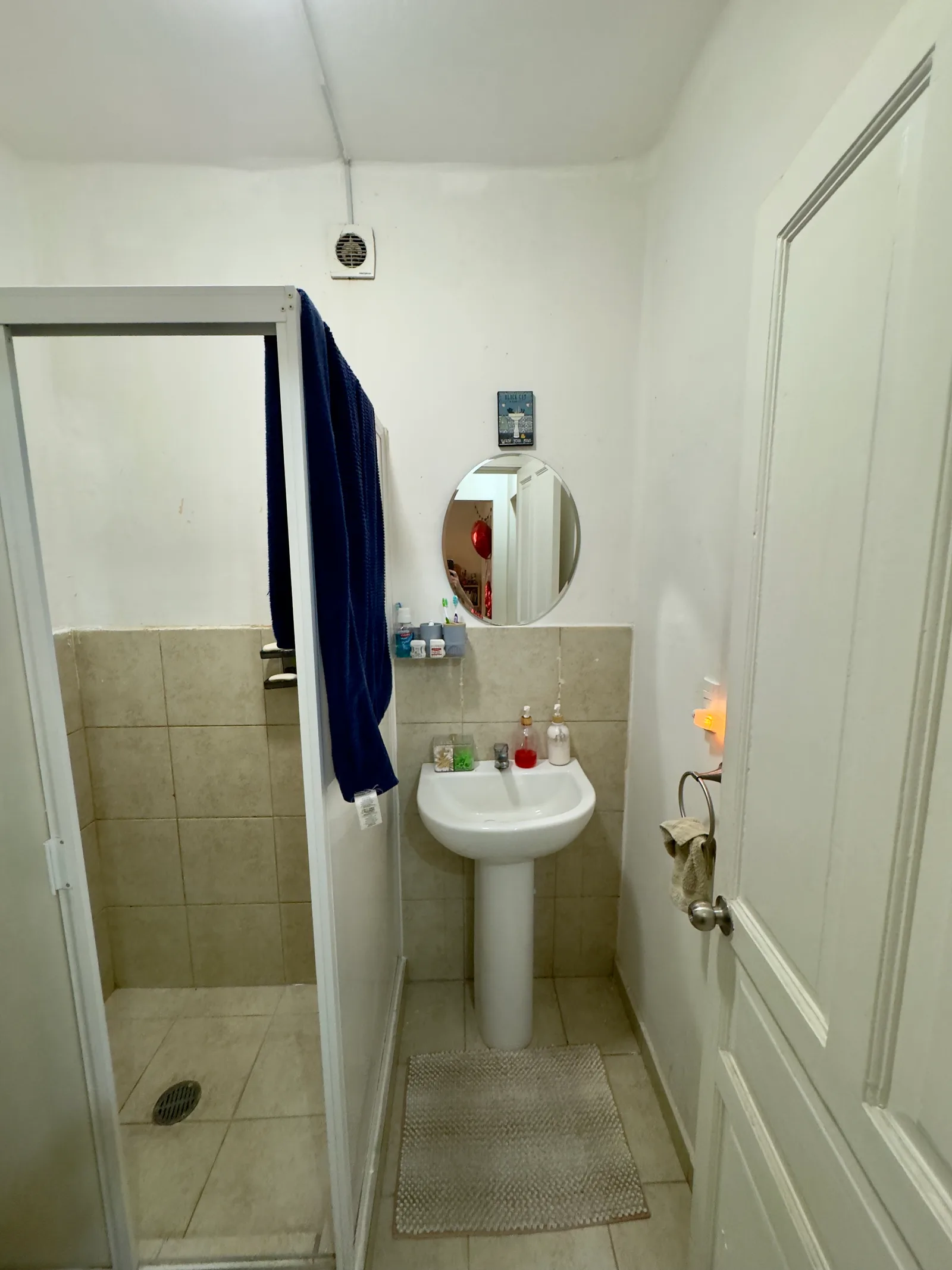 Apartment in Condesa