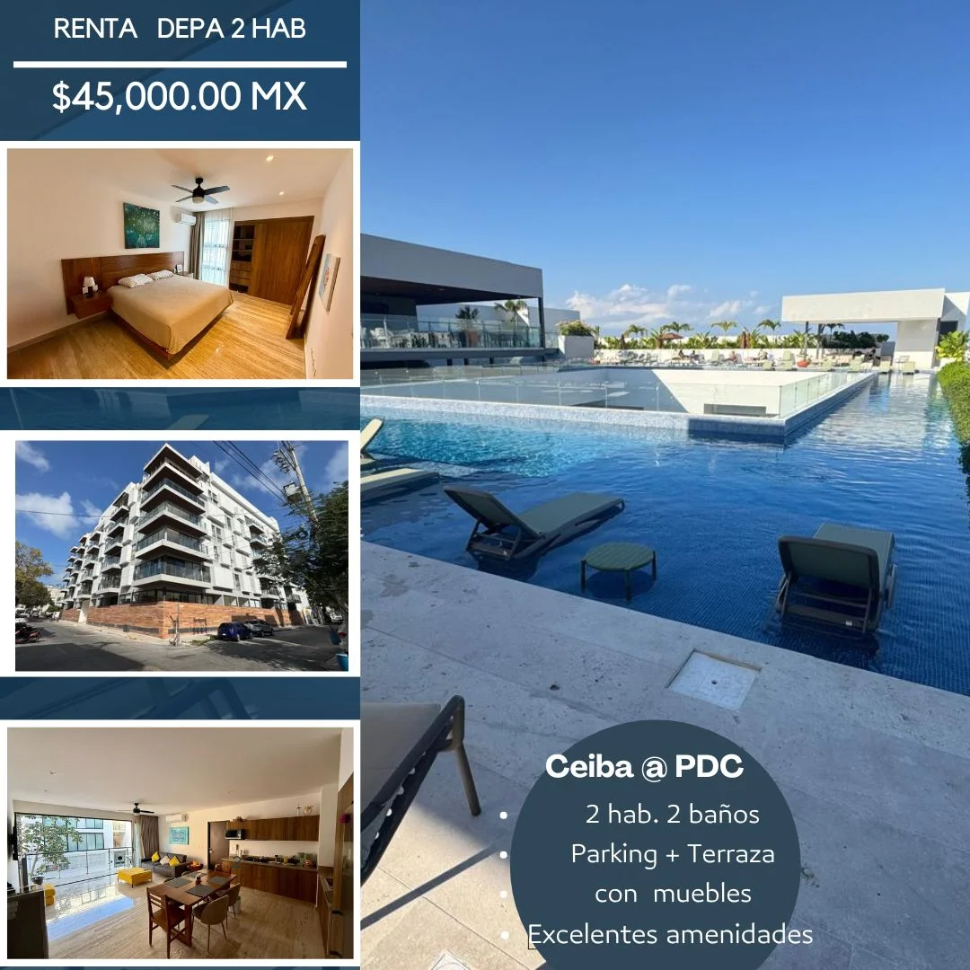 2 Bedroom Furnished Apartment at Ceiba 25