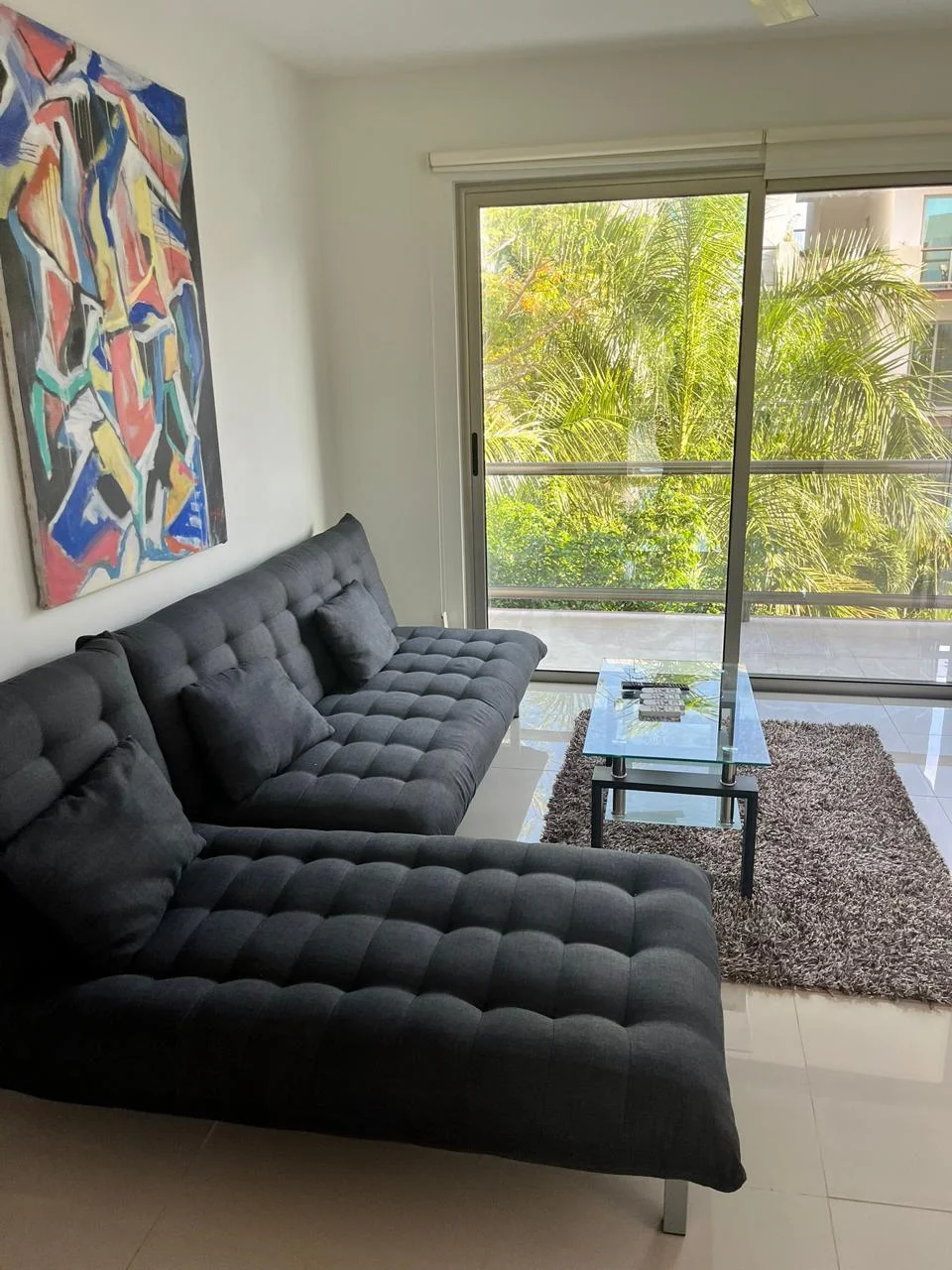 3 Bedroom Apartment in Ejido Sur Furnished