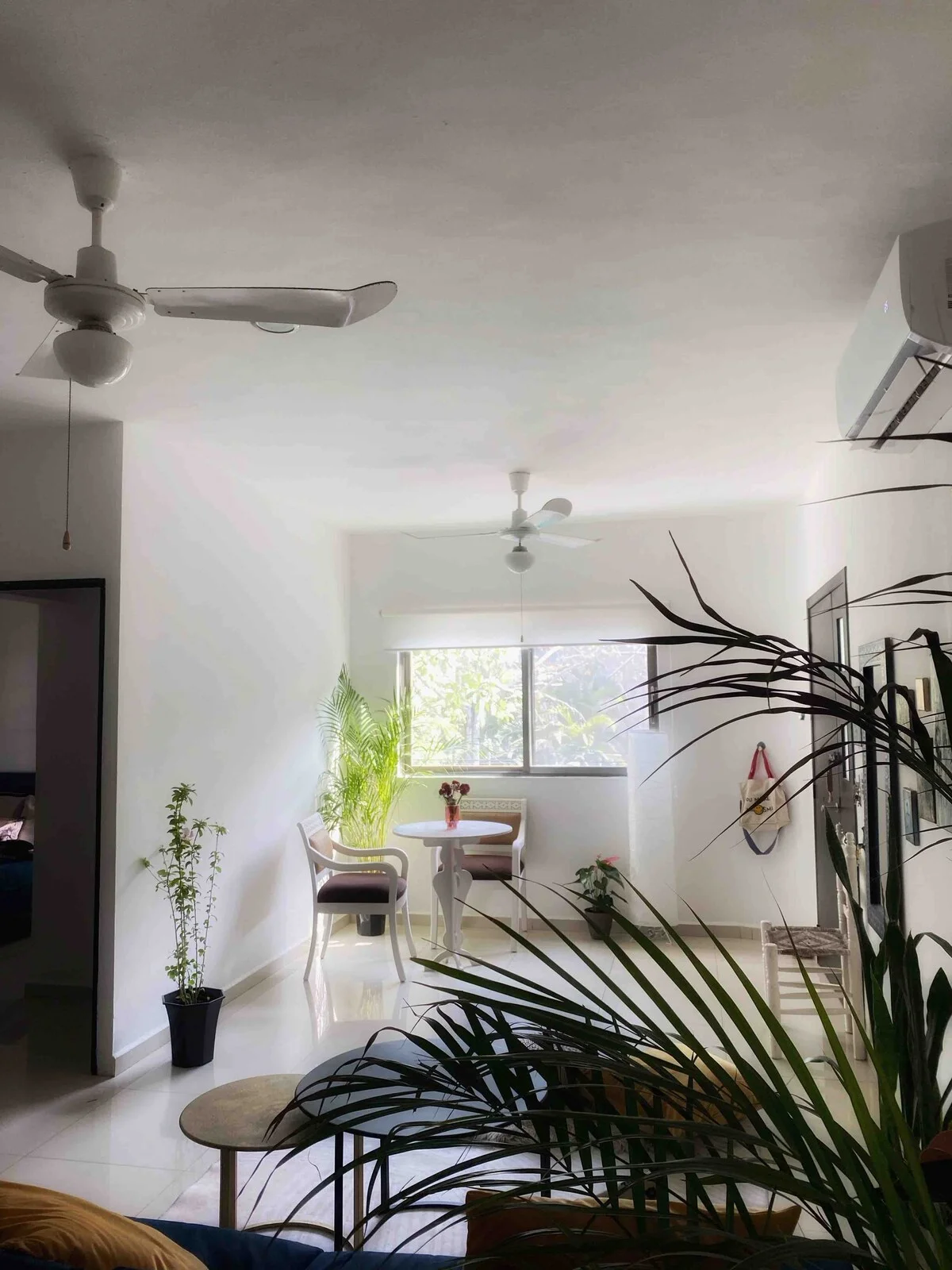 Apartment Available Until December 2nd