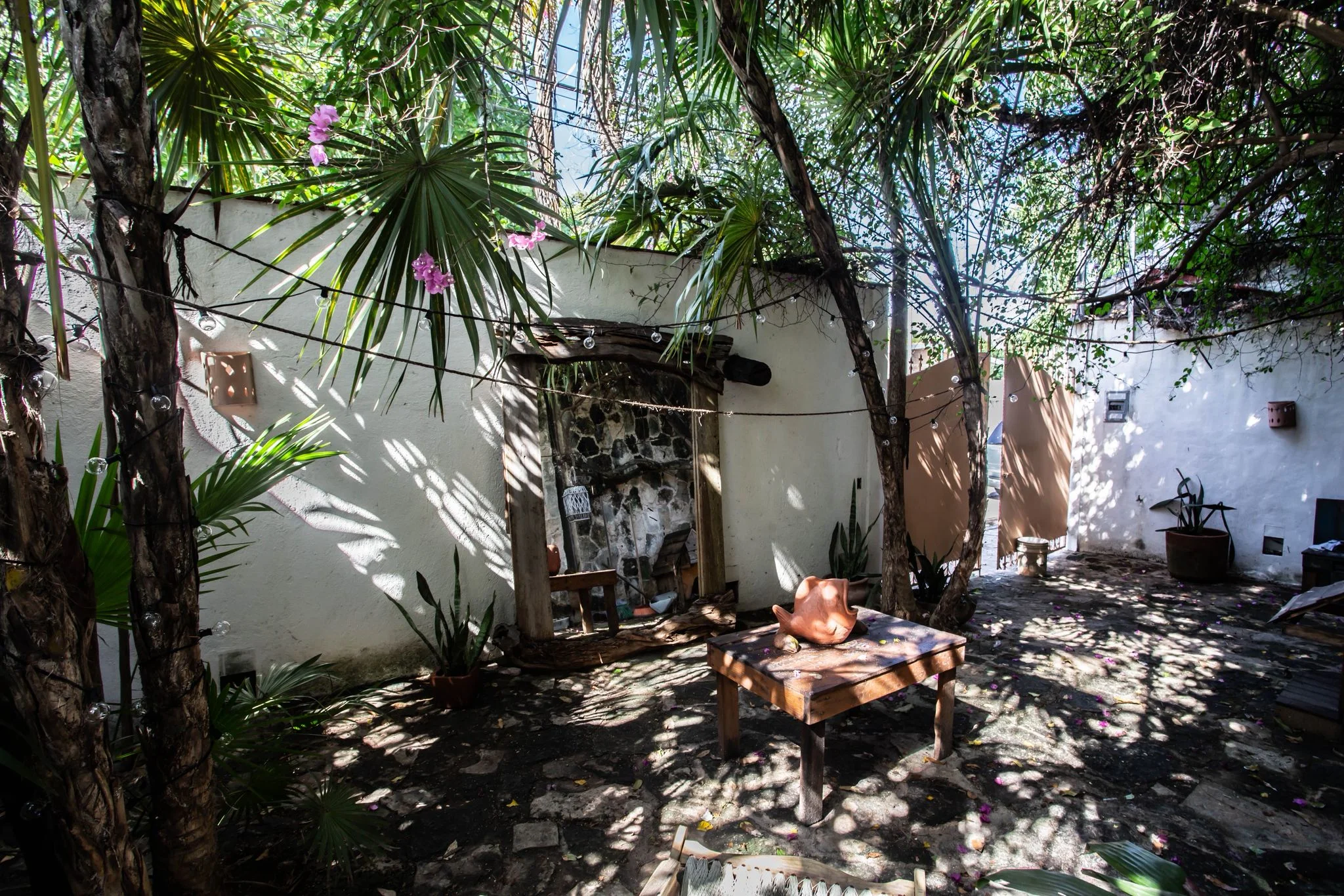 House for Rent in Colosio Near Beach