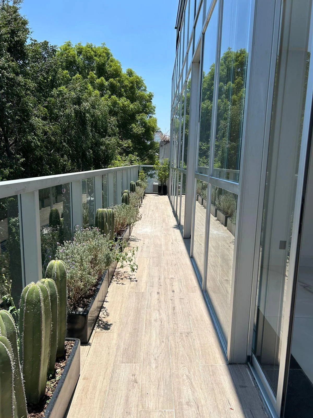 Furnished Apartment in Polanco, Mexico City