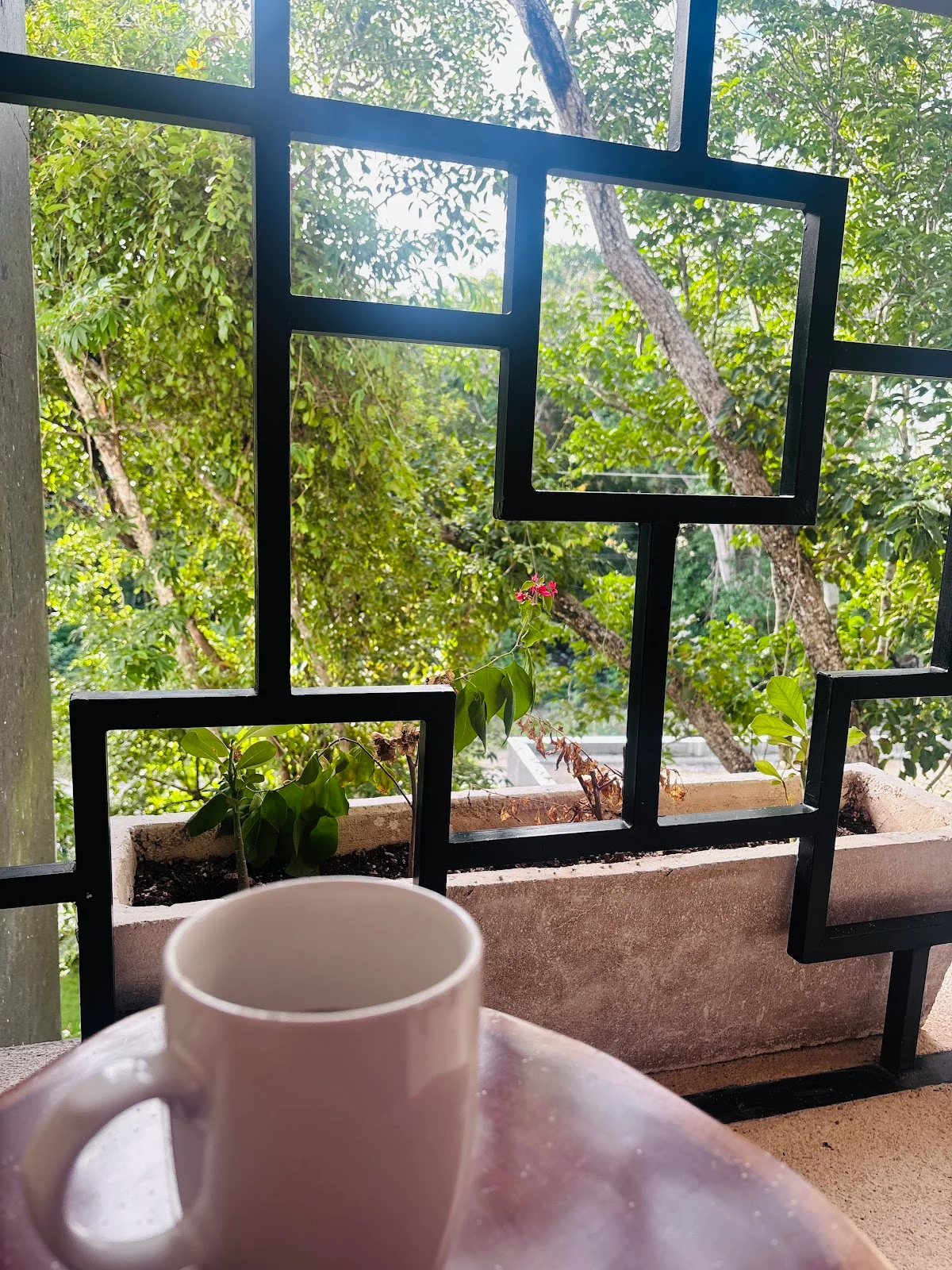Studio with Pool Access in Región 15, Tulum