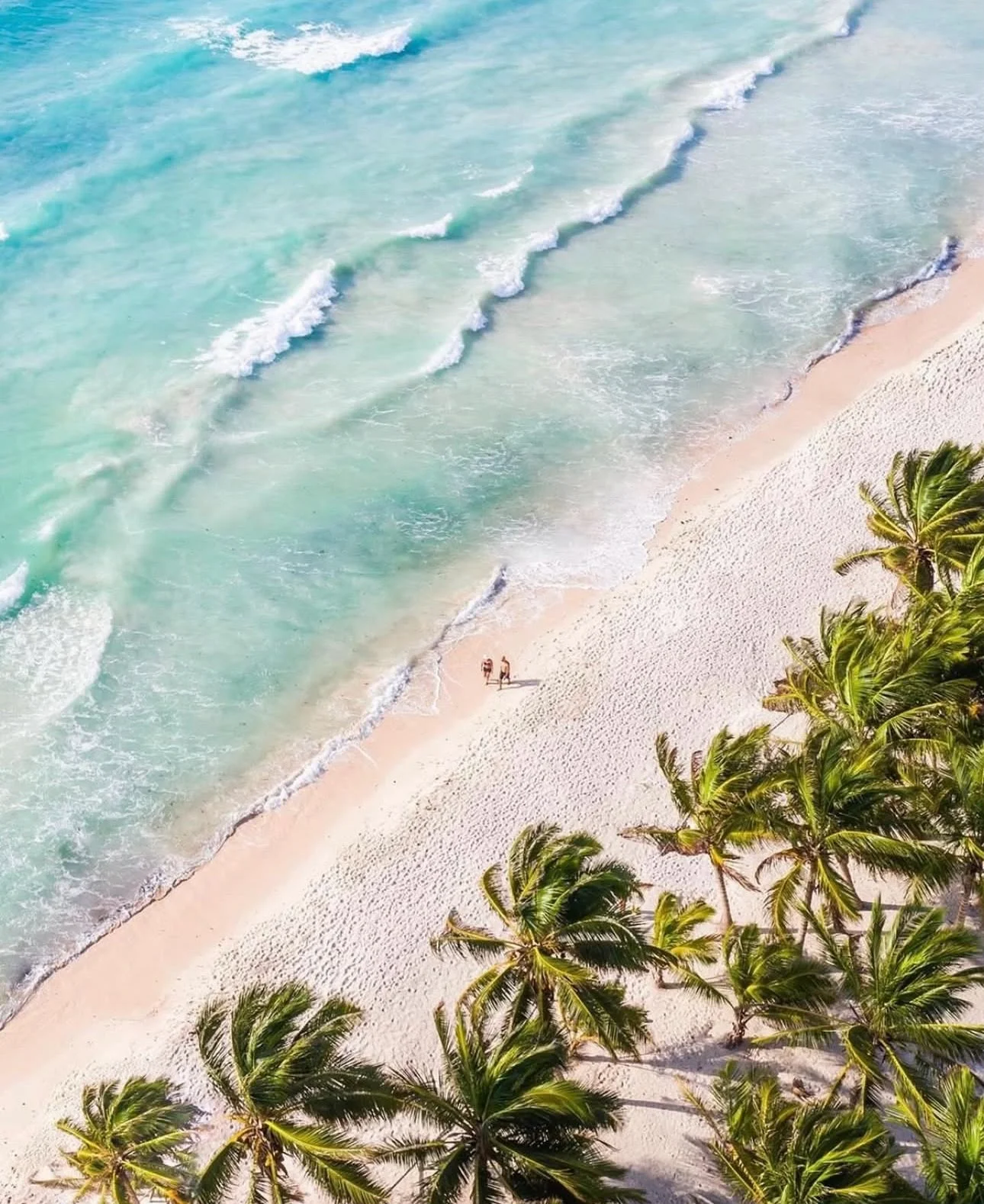 Long-Term Rentals Available in Playa del Carmen