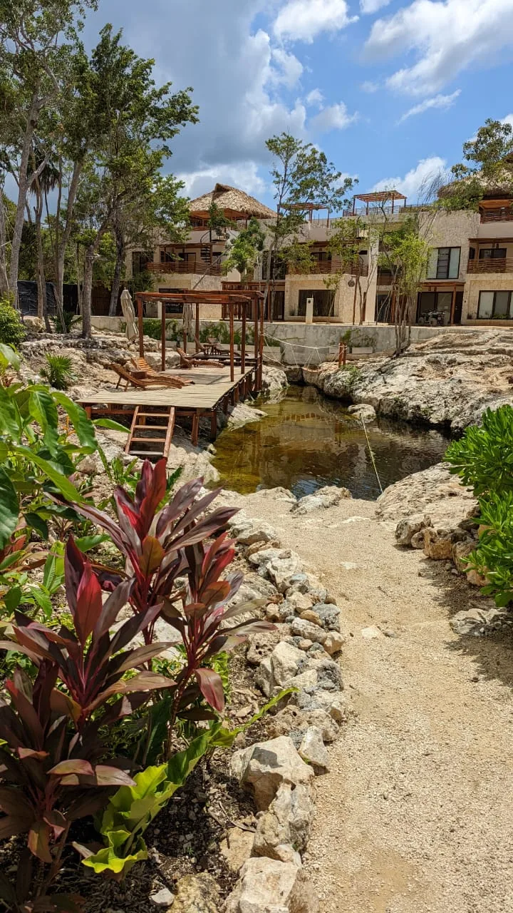 Discover Modern Apartment Living in Aldea Zama