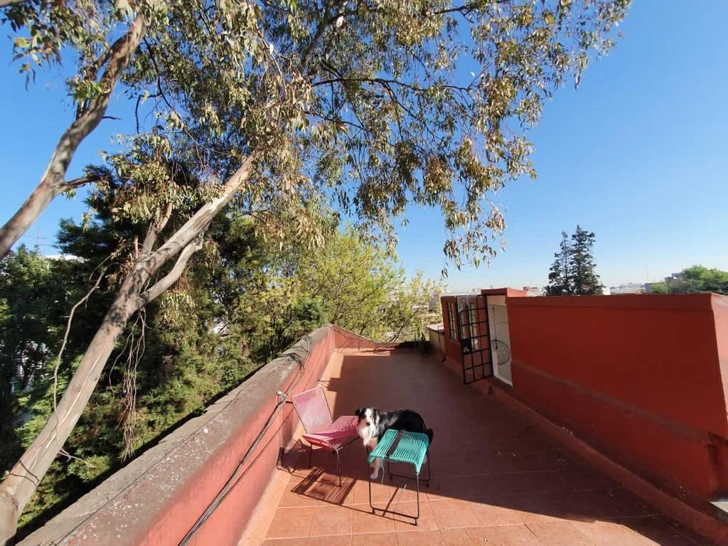 Apartment in Colonia Cuauhtémoc, Mexico City