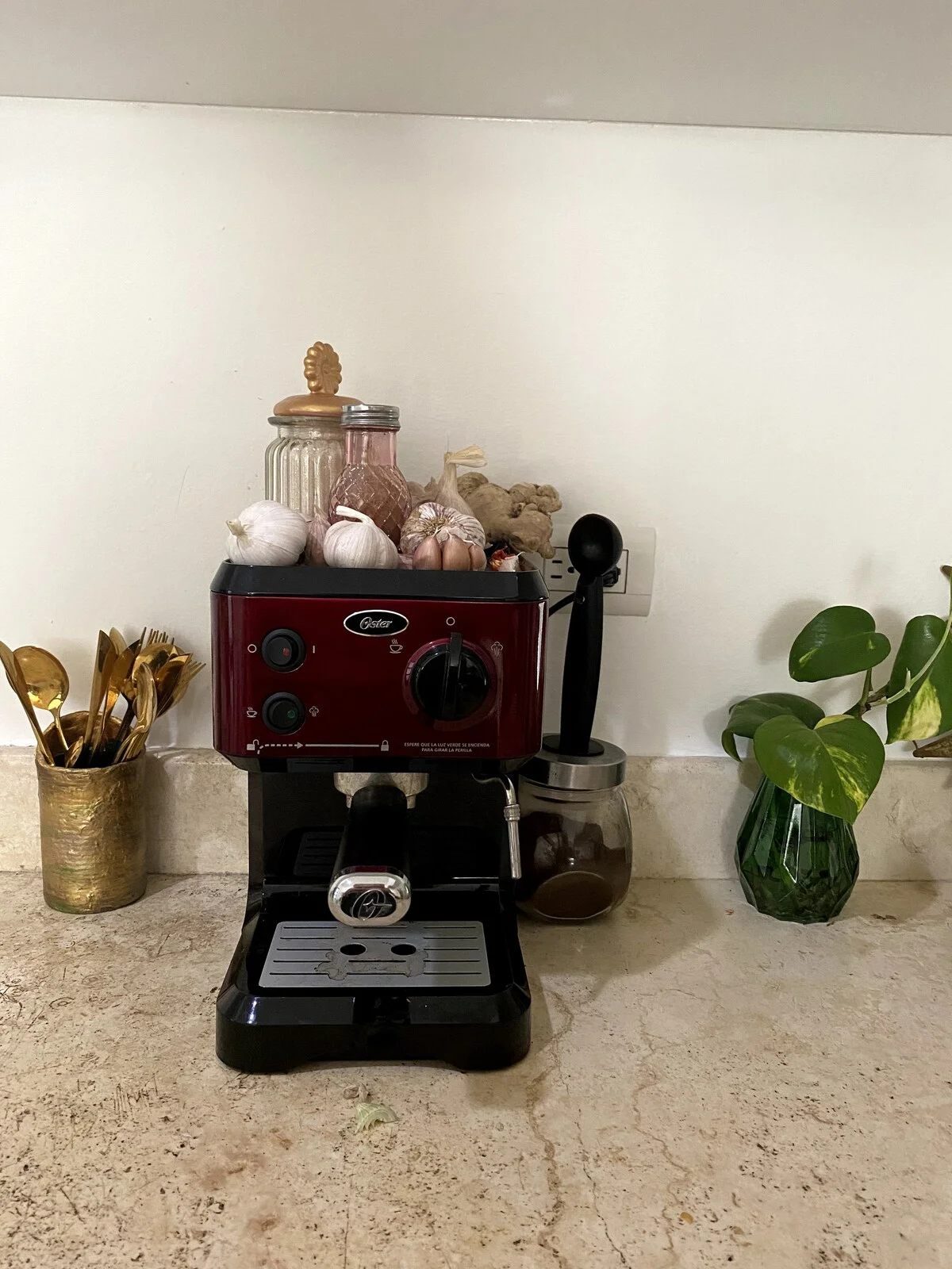 Apartment Available Until December 2nd