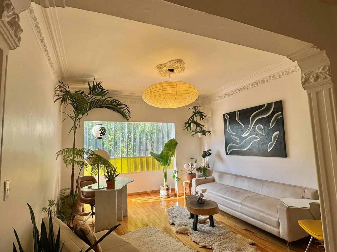 Private Room in Condesa on Aguascalientes Street