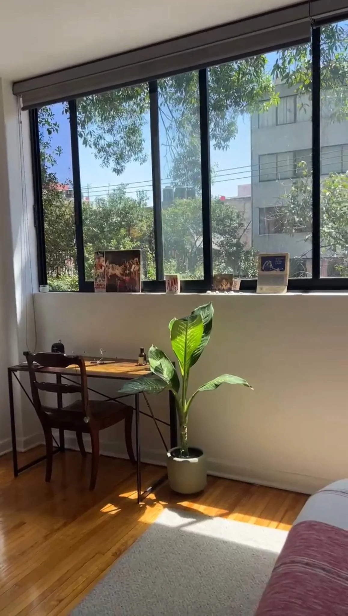 Private Room in Roma Norte