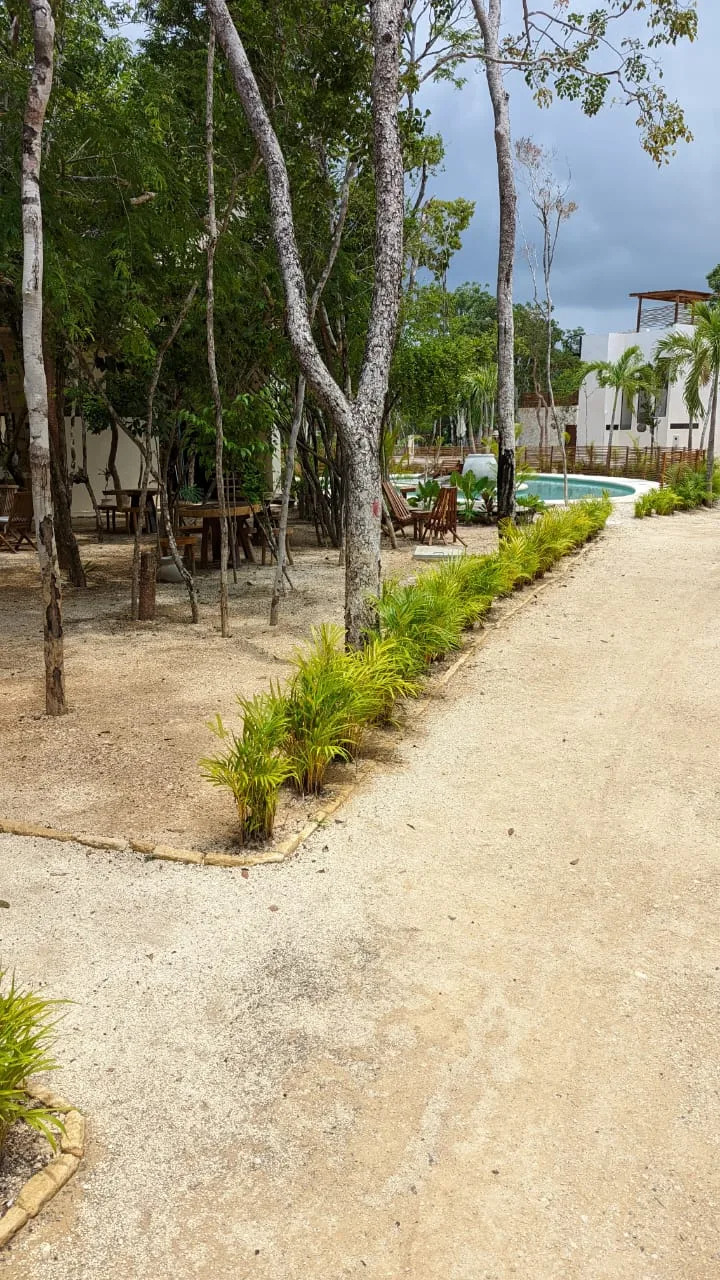 Discover Modern Apartment Living in Aldea Zama