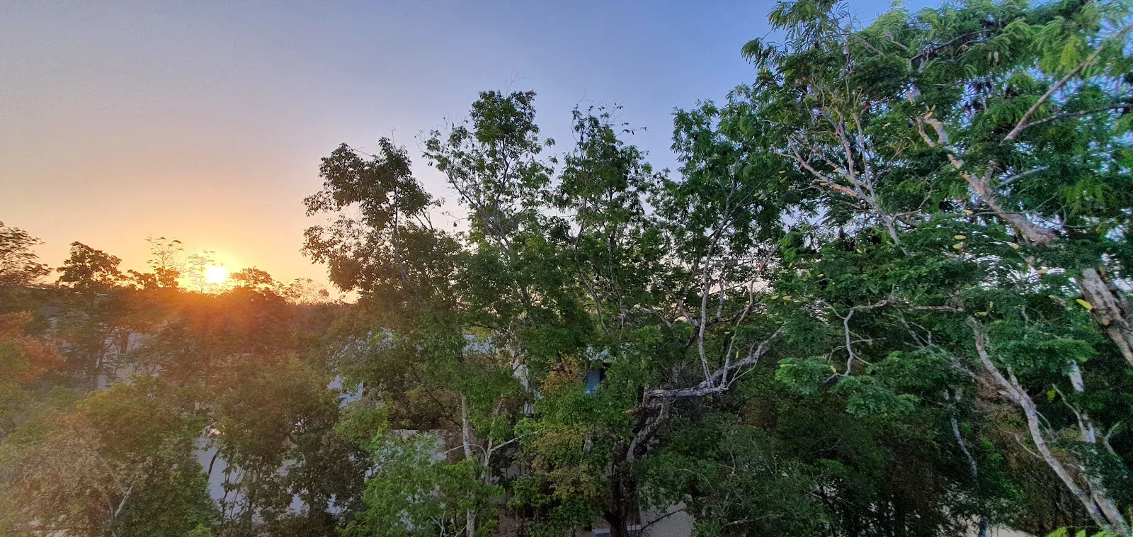 House in Selva Norte, Tulum