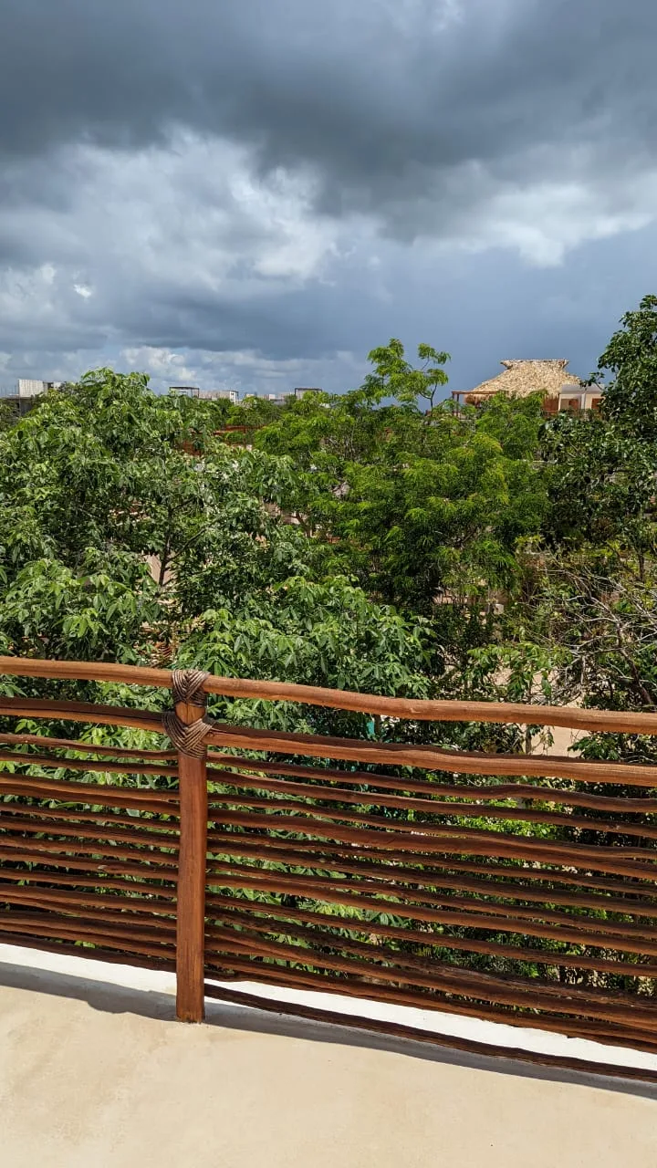 Discover Modern Apartment Living in Aldea Zama