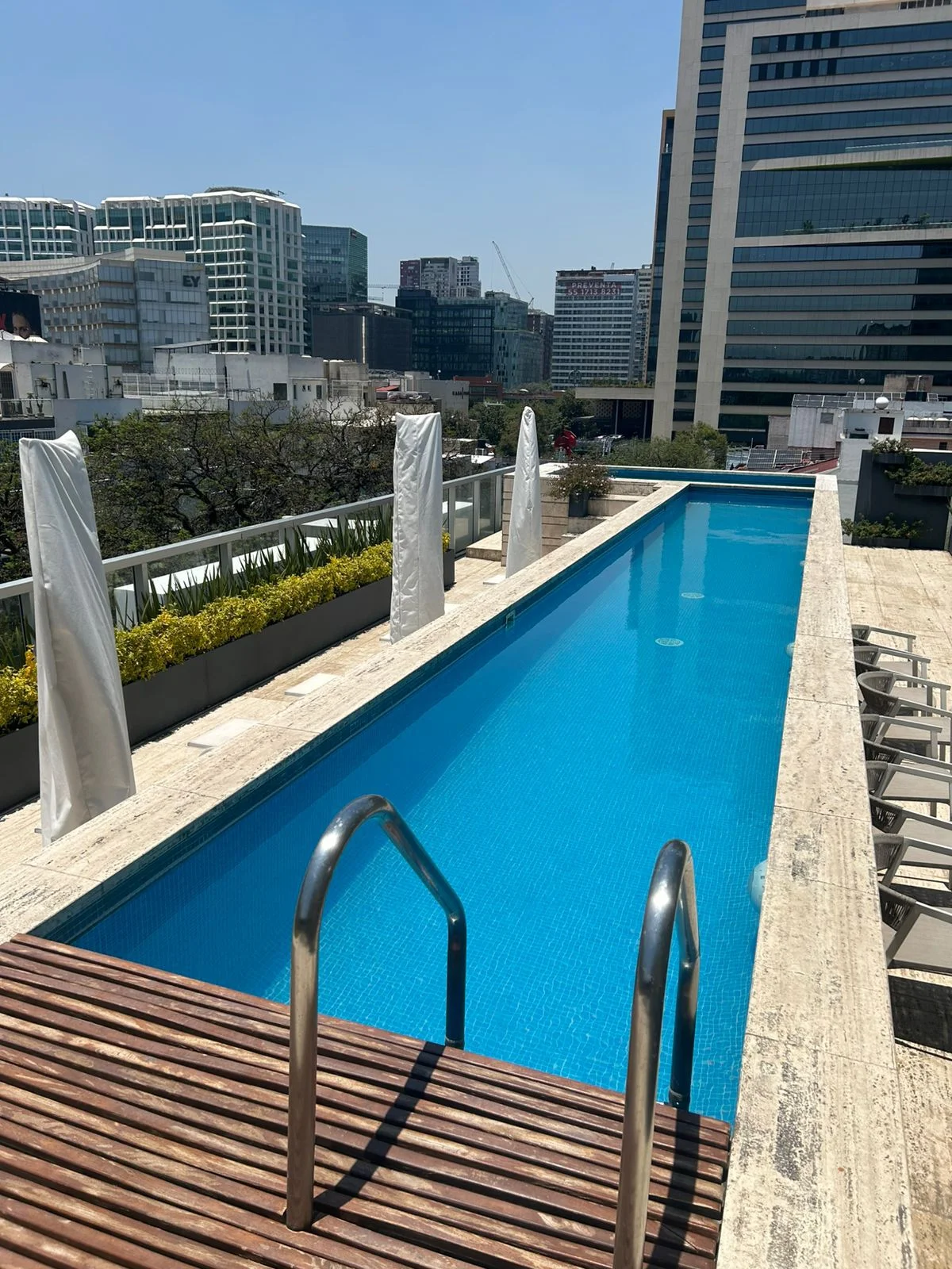 Furnished Apartment in Polanco, Mexico City