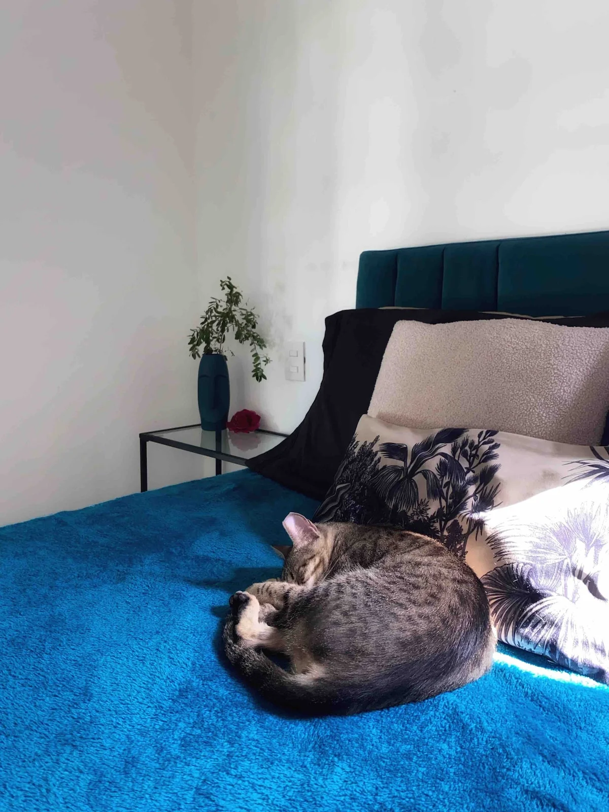 Apartment Available Until December 2nd
