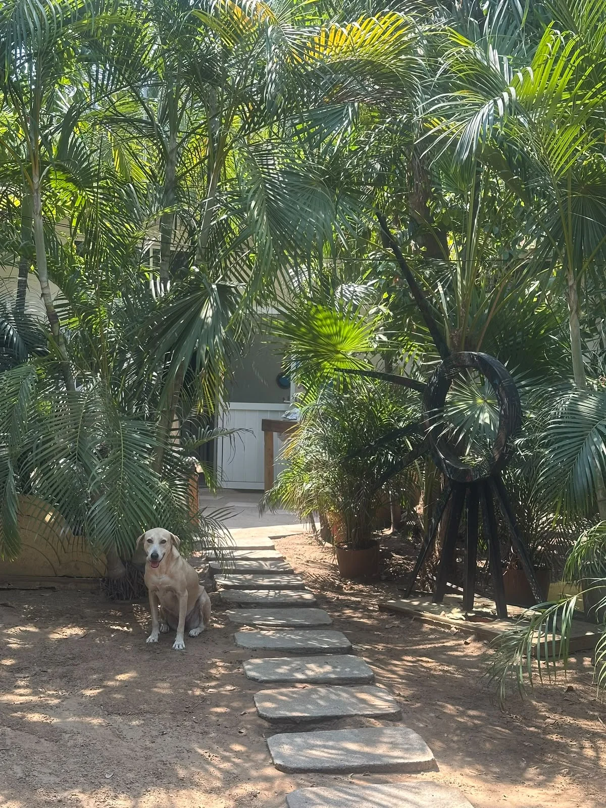 Property in La Punta Zicatela Puerto Escondido - Image 2