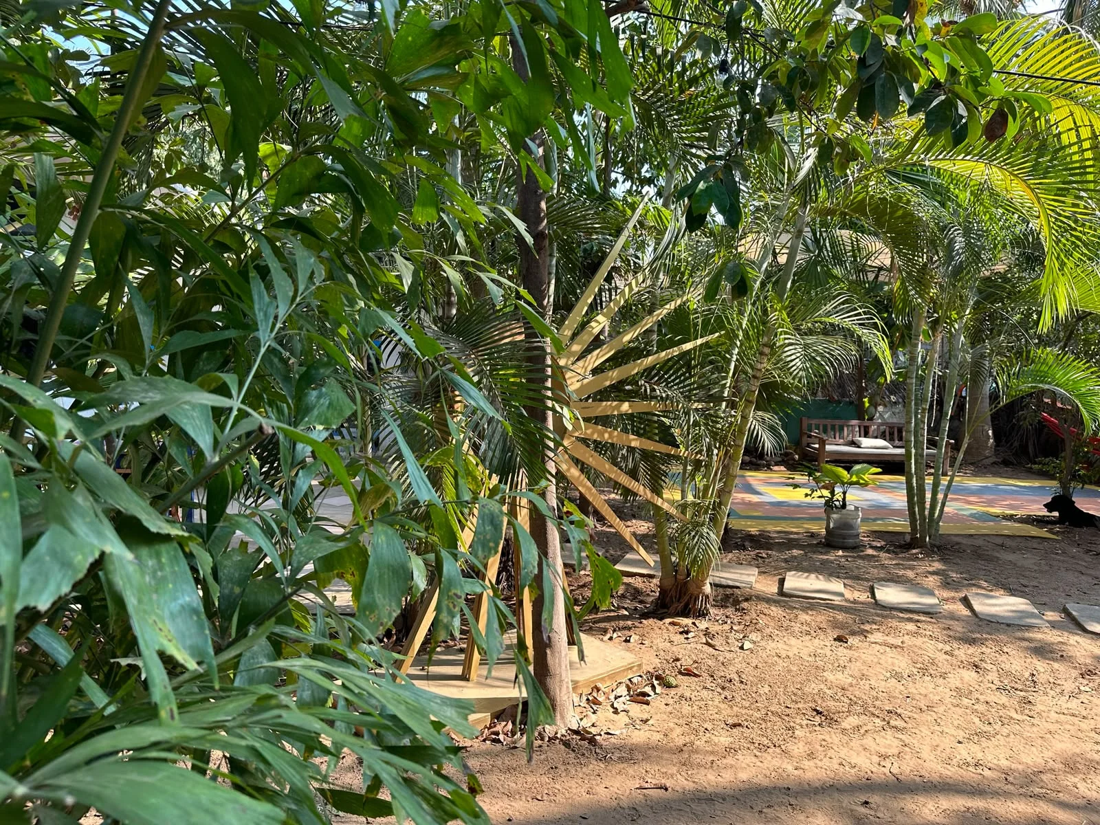 Property in La Punta Zicatela Puerto Escondido