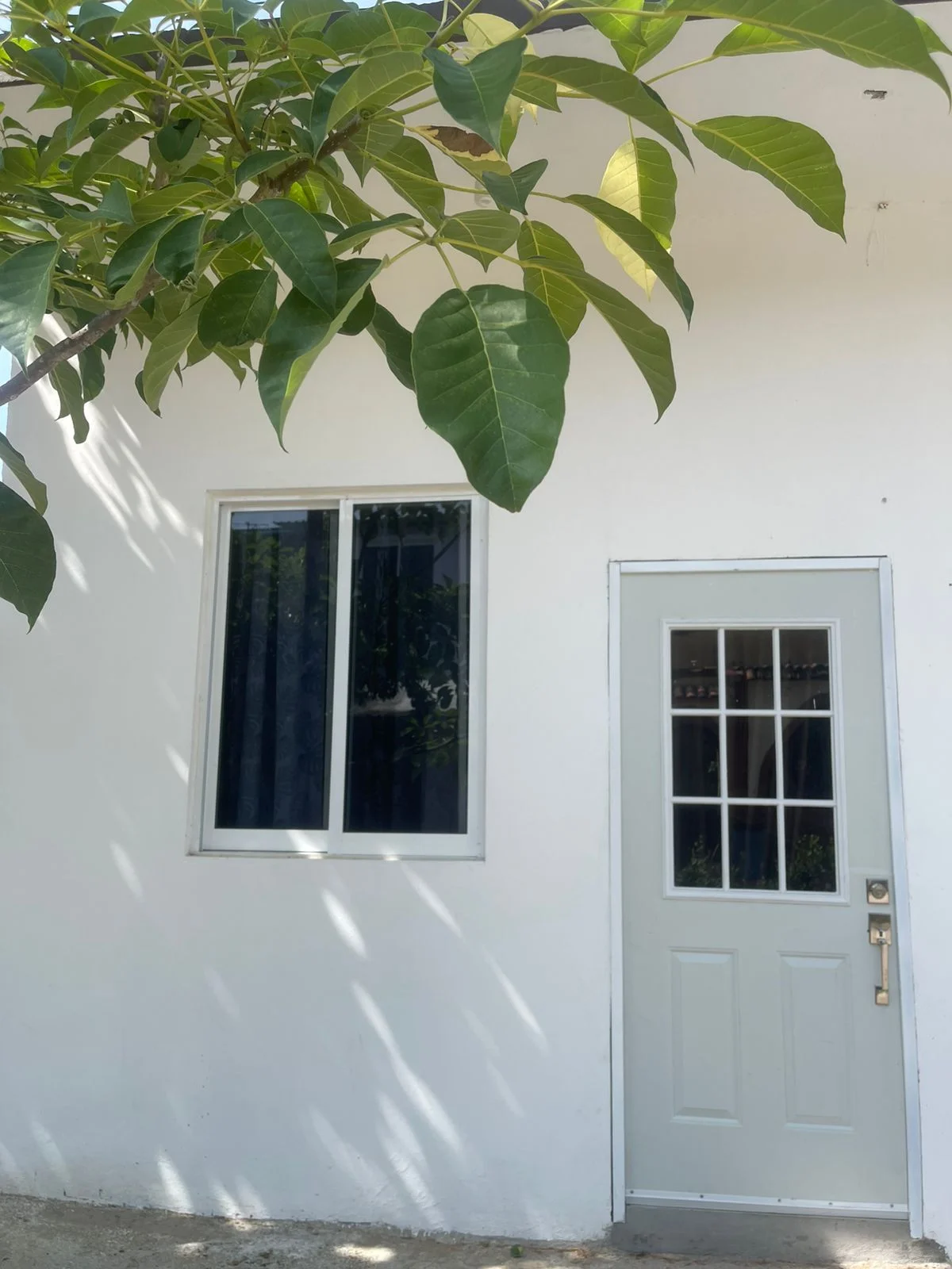 Furnished 1-Bedroom Apartment in Costa Chica