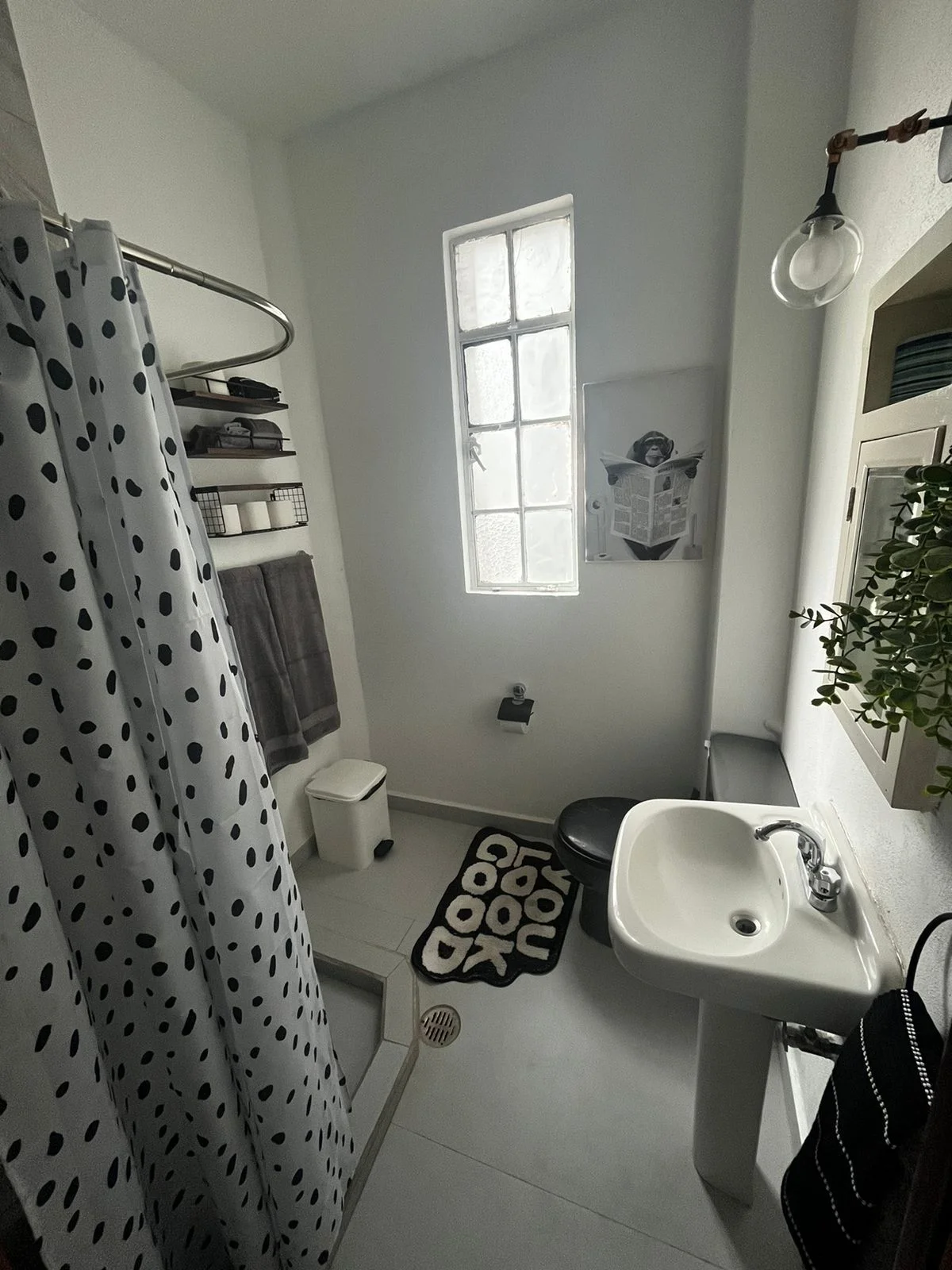 Apartment for Rent in Roma Norte, Mexico City