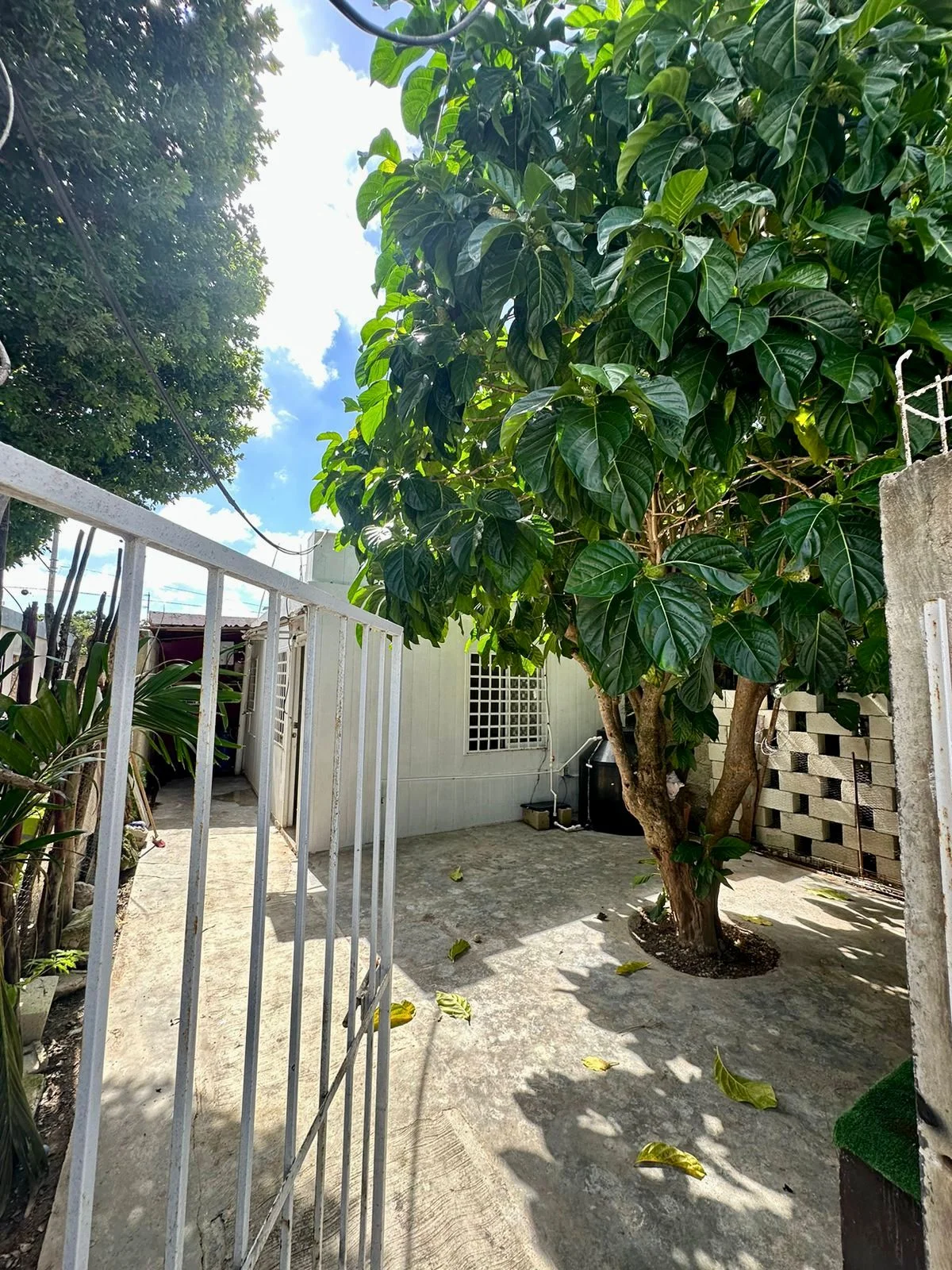 2 Bedroom House in Huracanes Neighborhood