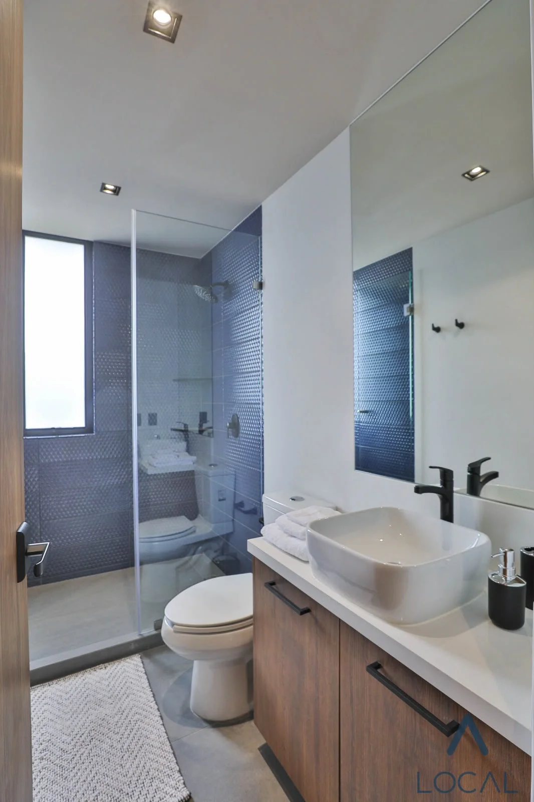 Furnished Apartment in Mexico City