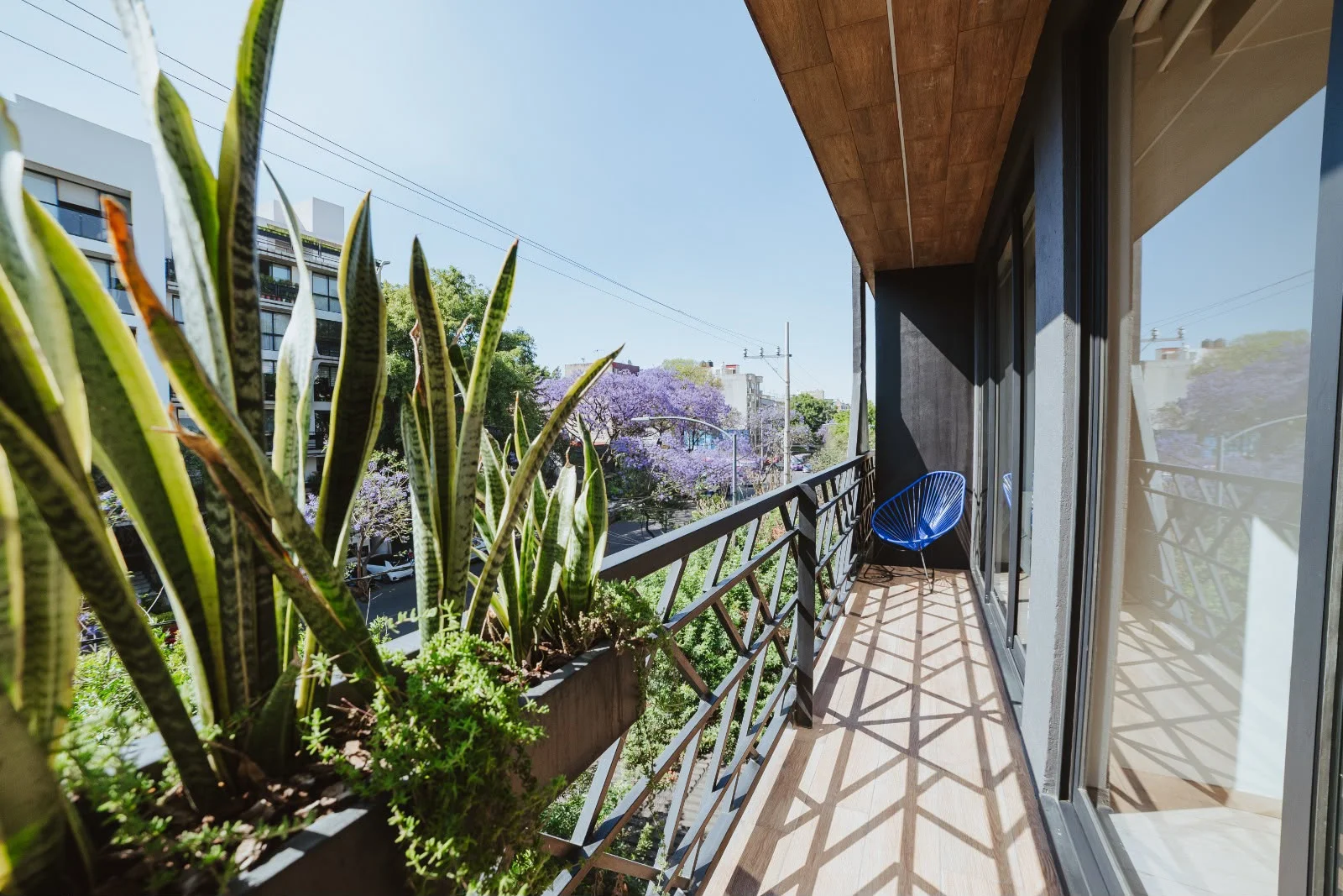 Furnished Apartment in Mexico City