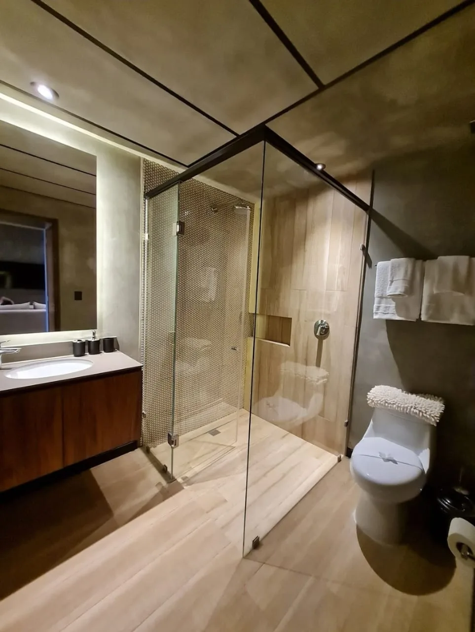 Apartment in Zona Hotelera