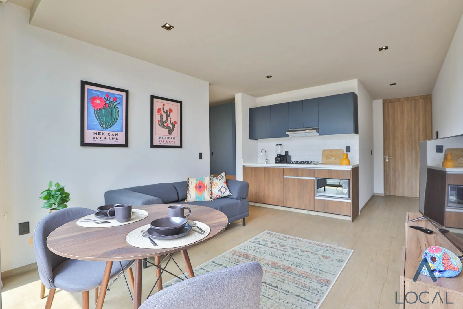 Furnished Apartment in Mexico City