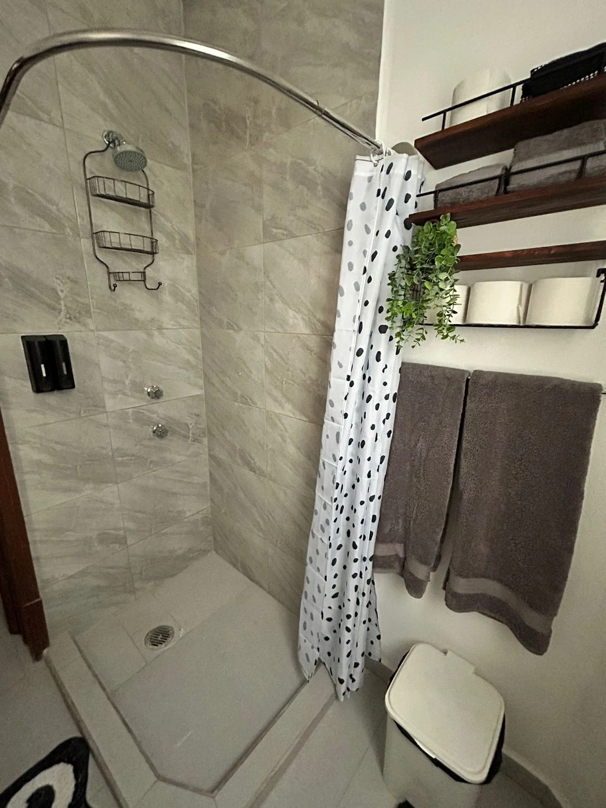 Apartment for Rent in Roma Norte, Mexico City