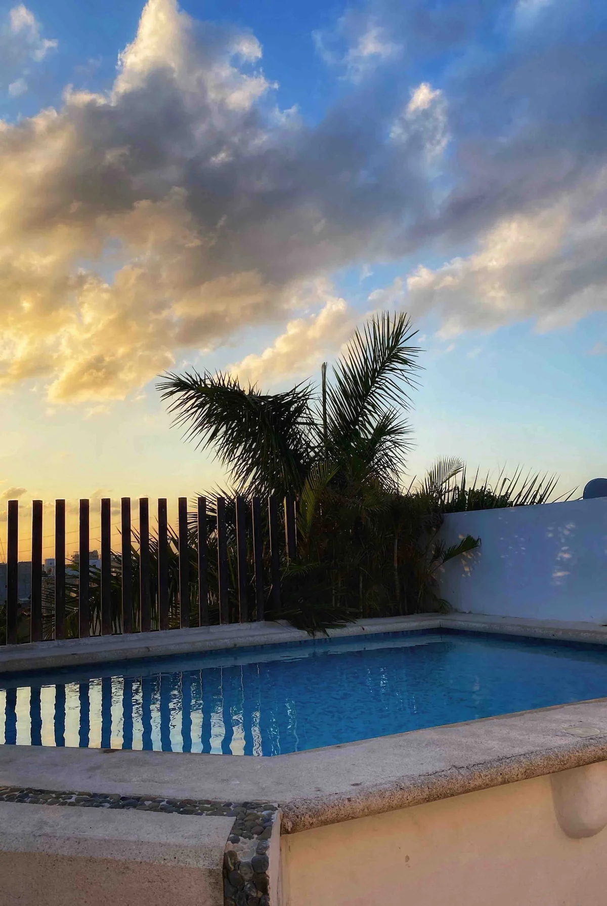 Apartment Available Until December 2nd