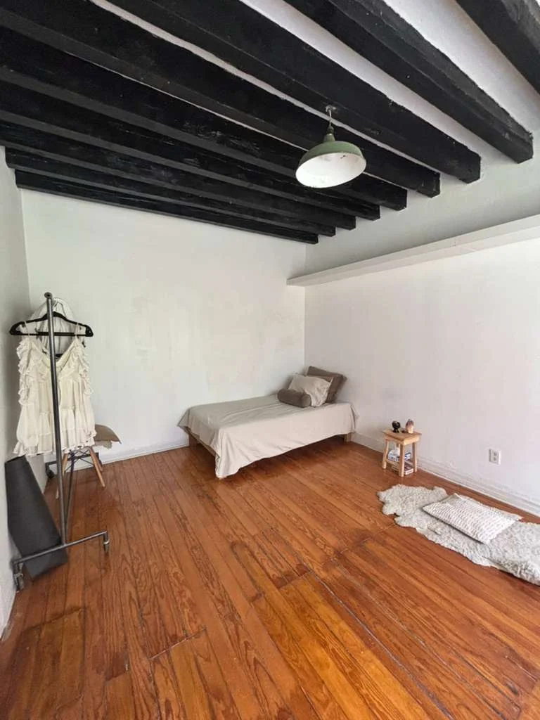 House for Rent in Roma Norte, Mexico City