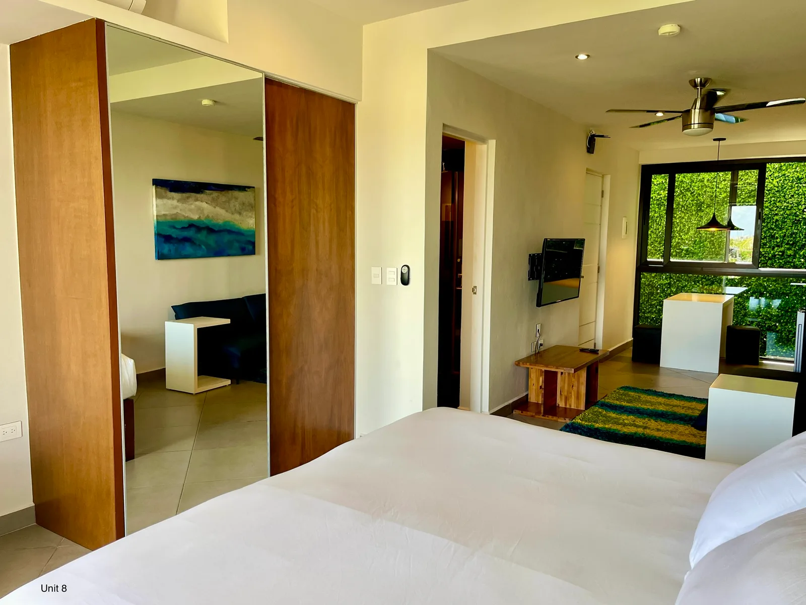 Studio Apartment in Quinta Avenida