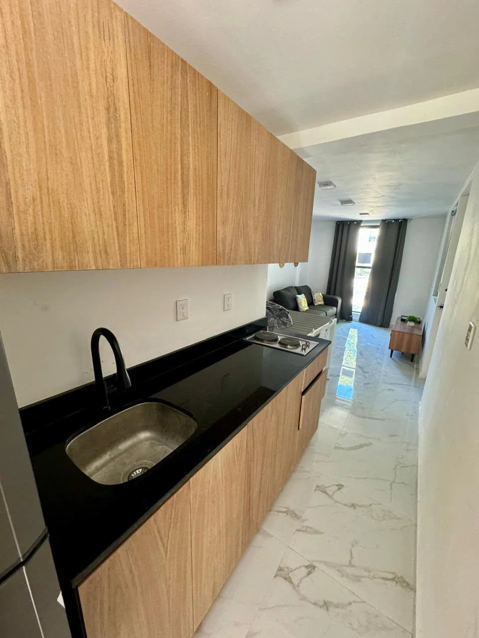 2 Bedroom Apartment for Rent in Playacar