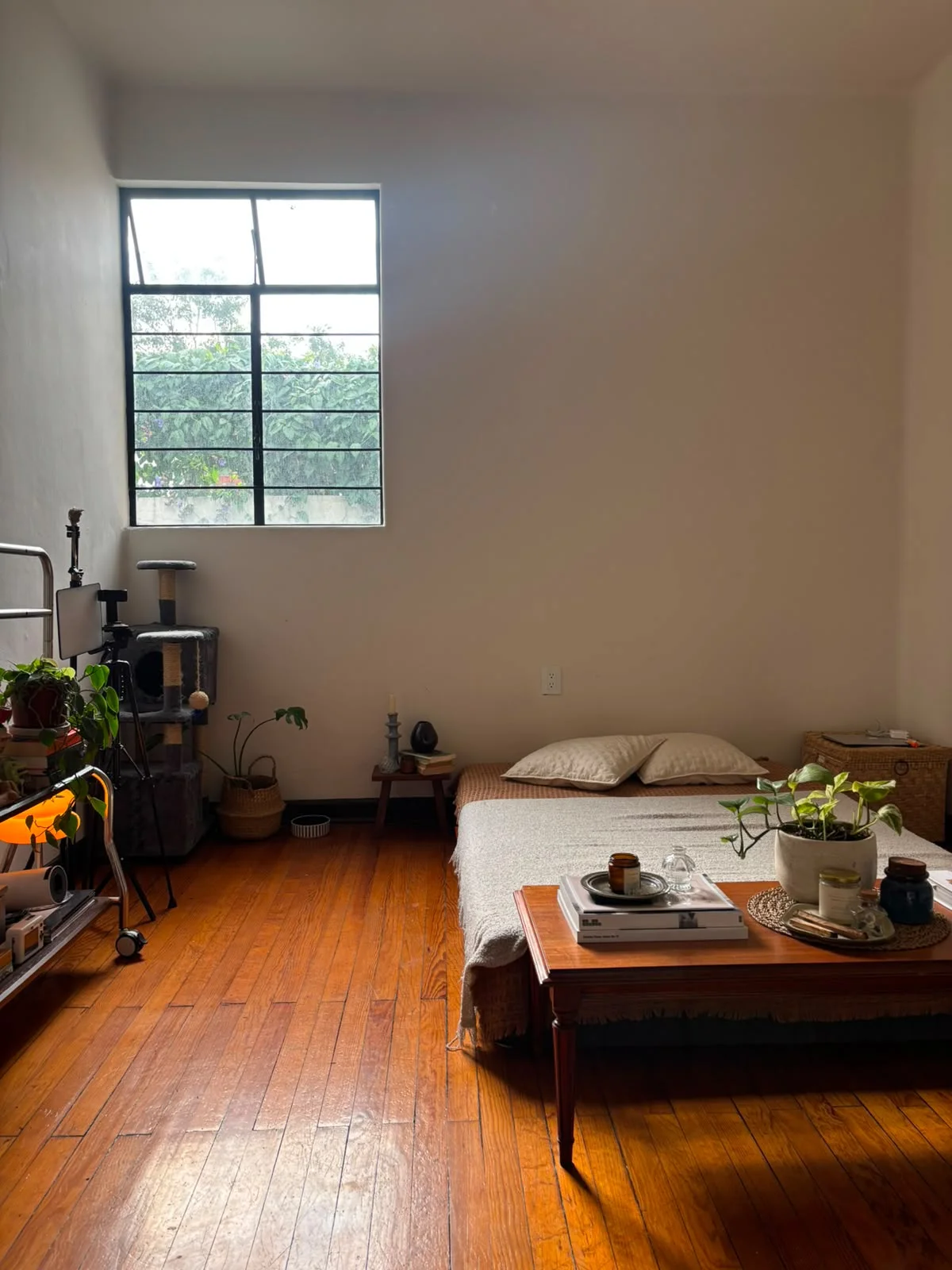 Room in Apartment in Condesa, Mexico City
