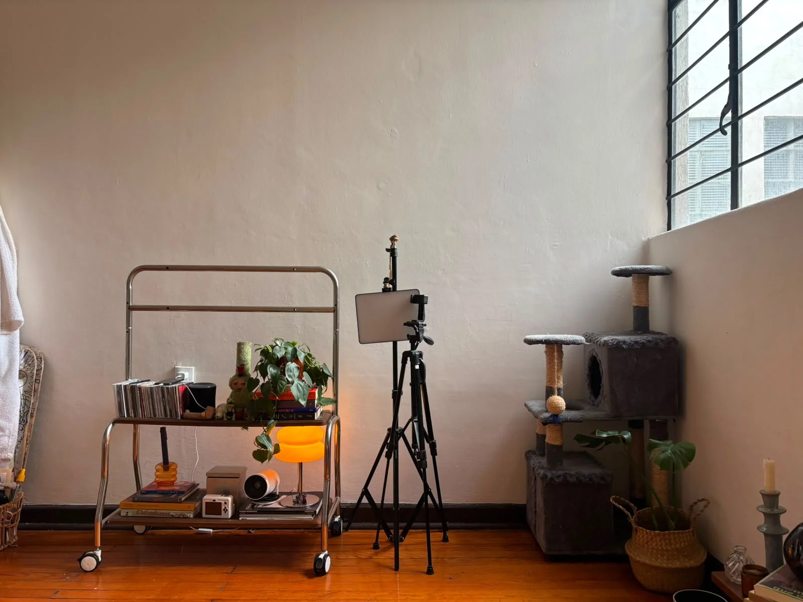 Room in Apartment in Condesa, Mexico City