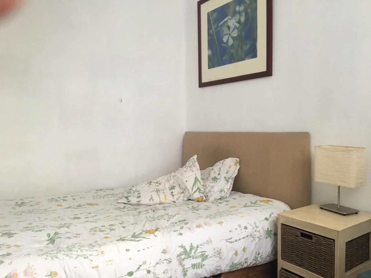 Private Room in La Condesa