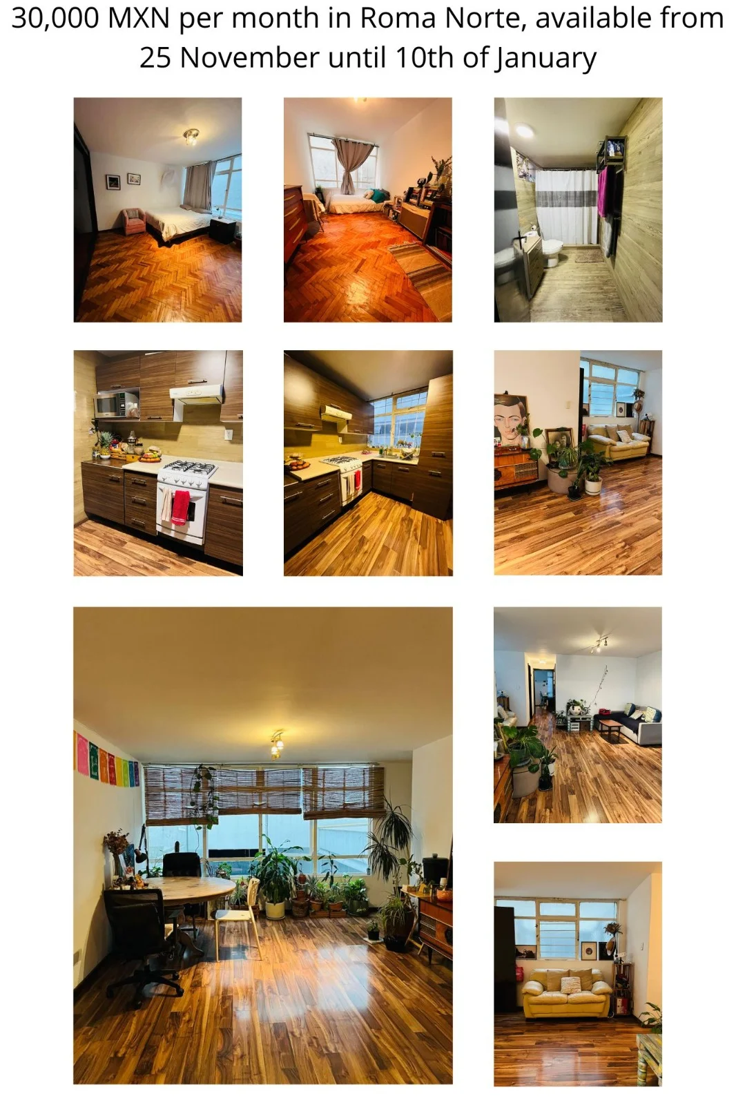 2-Bedroom Apartment in Roma Norte