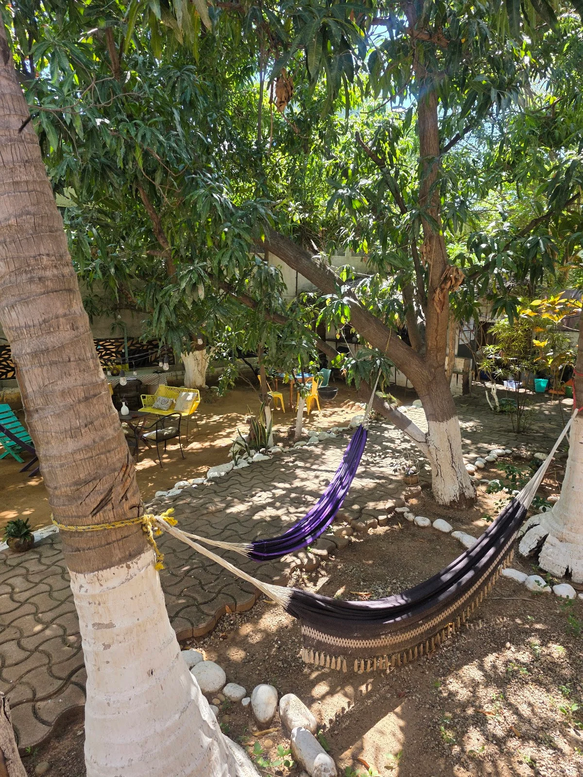 Private Room in Tamarindos Near Beach