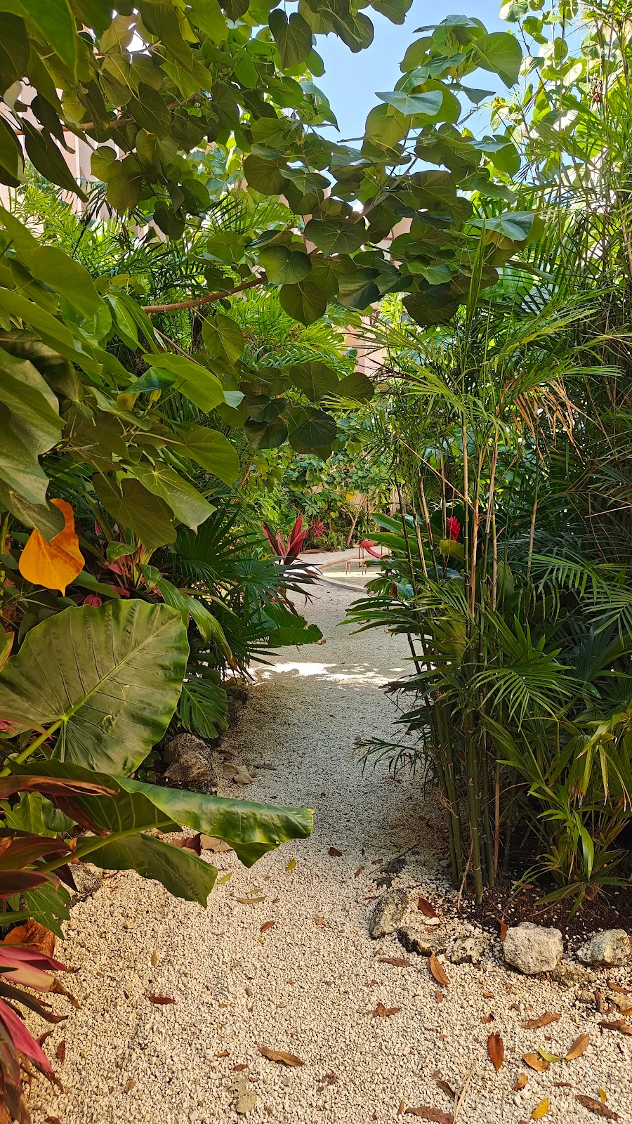 Apartment in Tulum