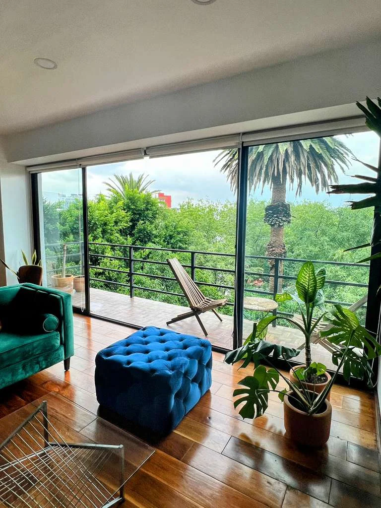 2 Bedroom 2 Bath Apartment in Condesa