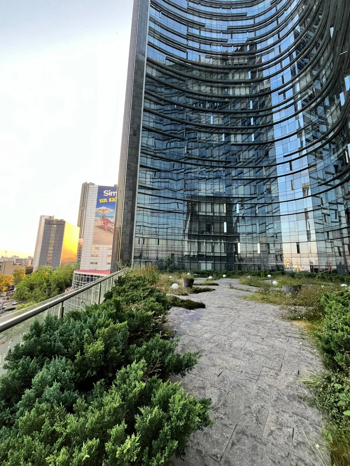 1-Bedroom Apartment in Mexico City