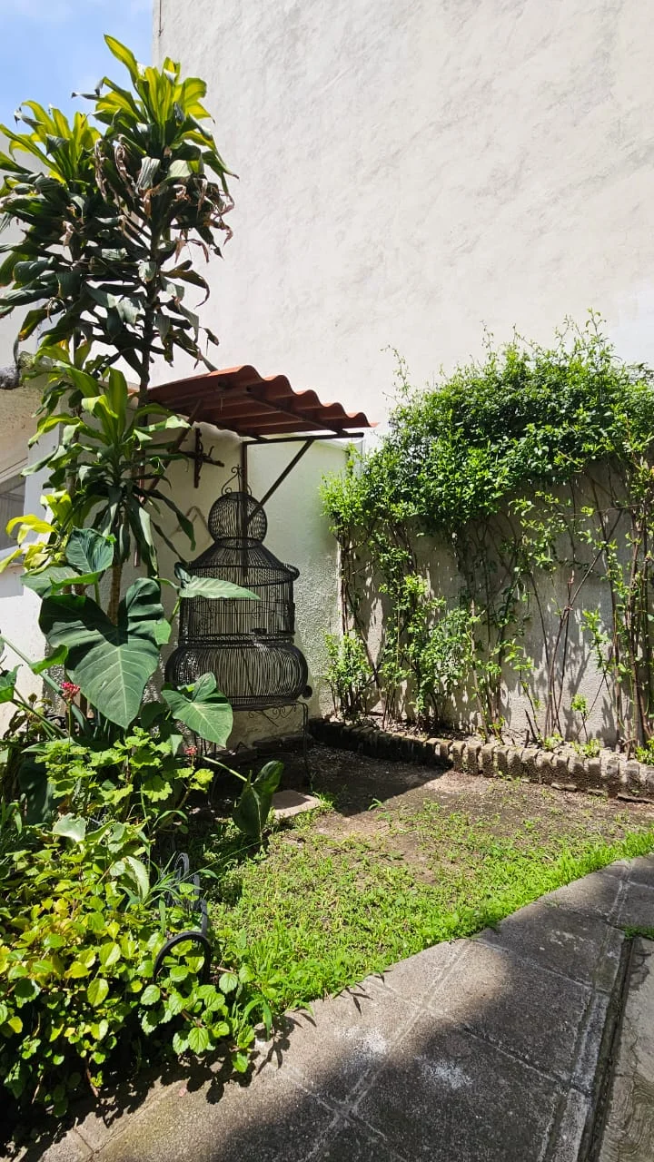 Room in Colonia Narvarte, Mexico City