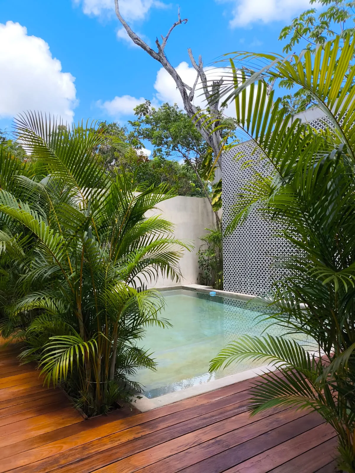 Apartment in Riviera Tulum