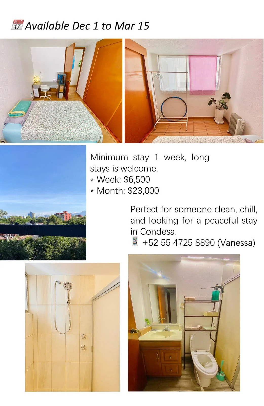 Furnished 1-Bedroom Apartment in Condesa