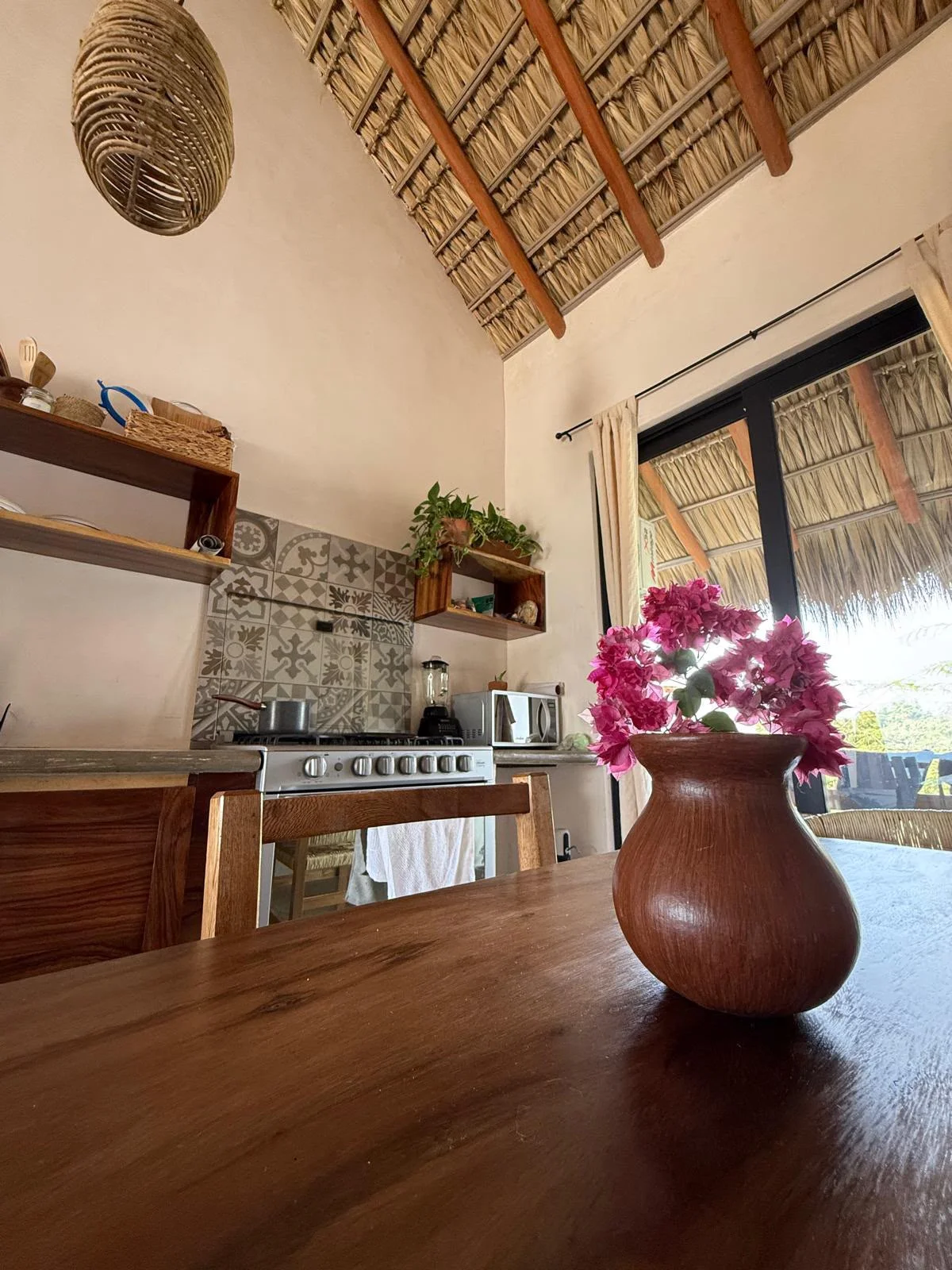 Furnished Penthouse in La Punta, Puerto Escondido