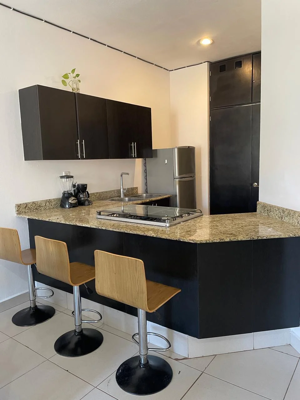 Apartment in Playacar