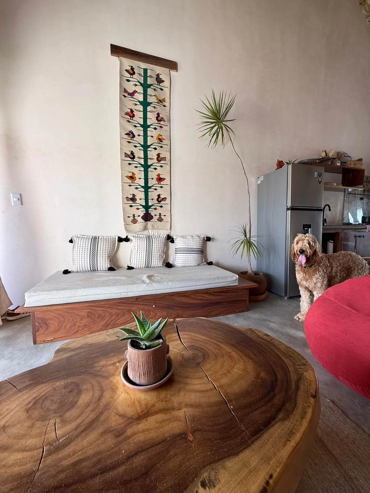 Furnished Penthouse in La Punta, Puerto Escondido