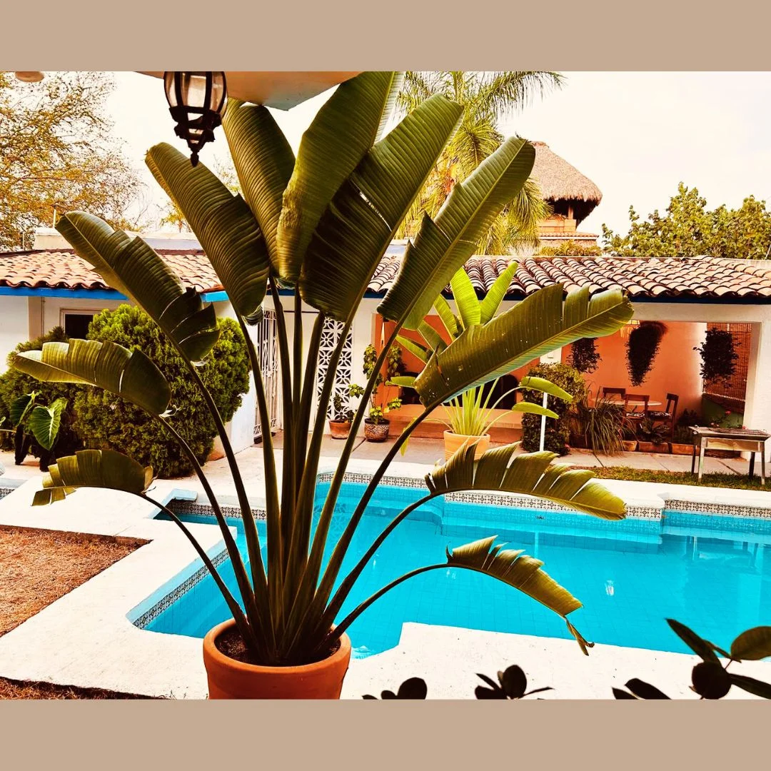 1 Bedroom Apartment with Shared Pool