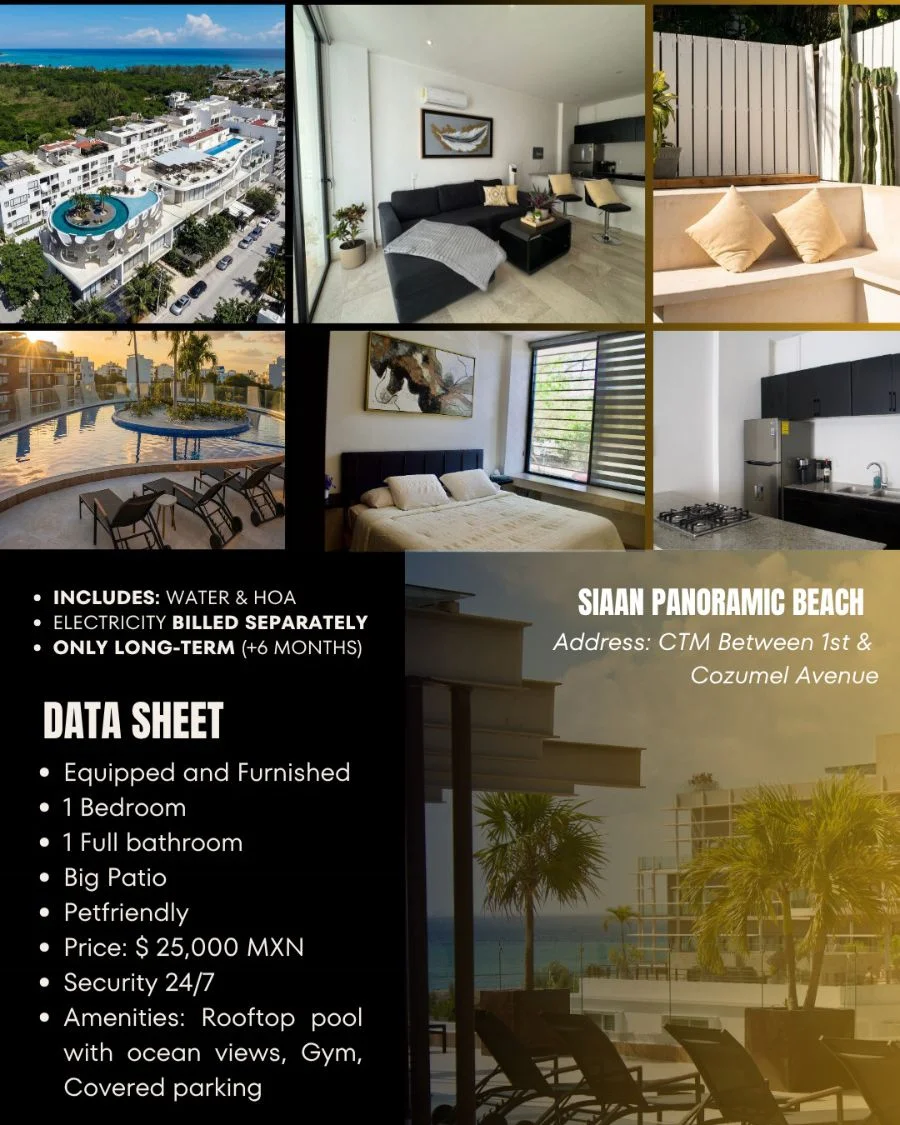 1 Bedroom Apartment in Playa del Carmen