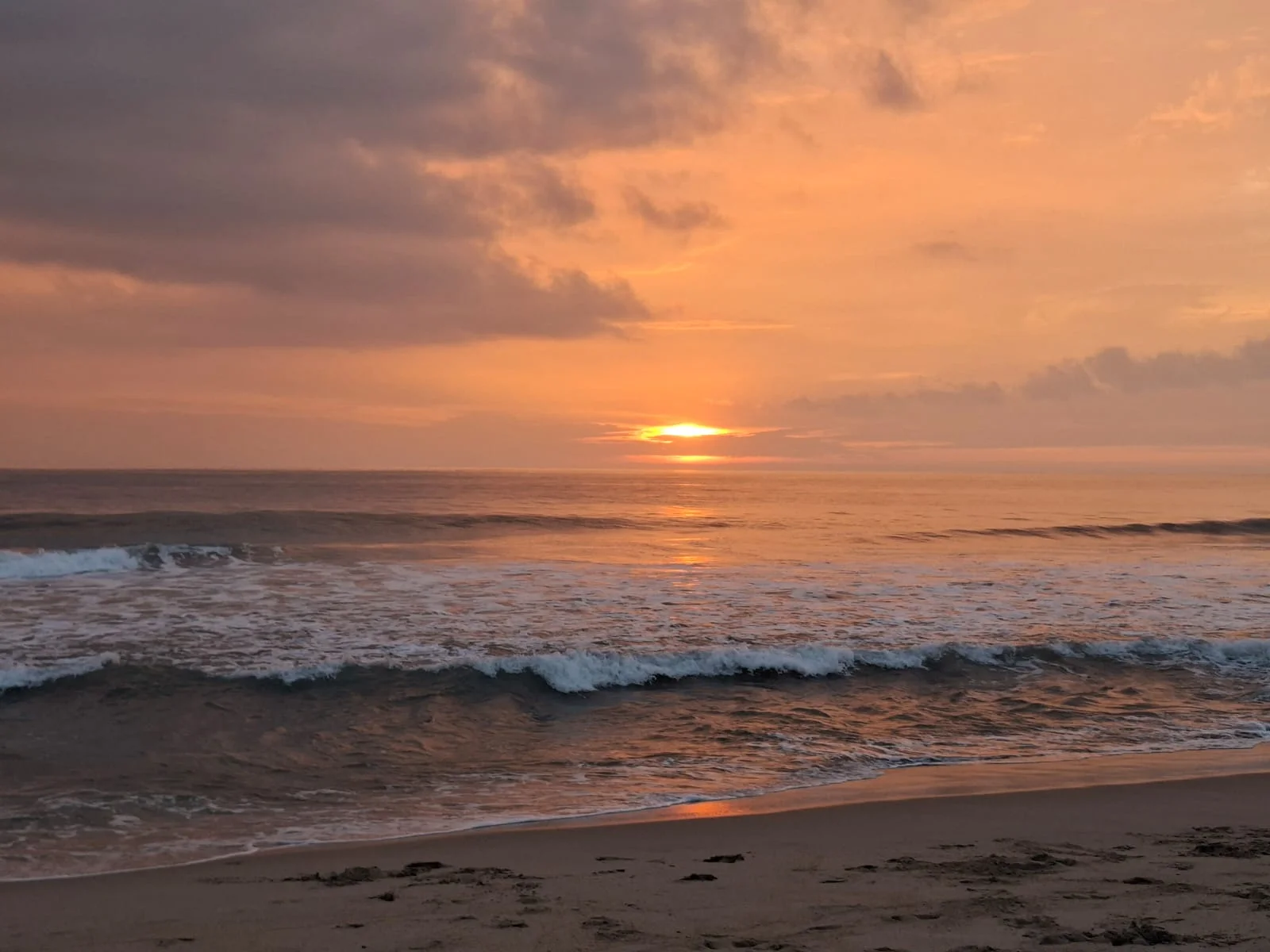 Rooms for Rent in Tamarindo Colony